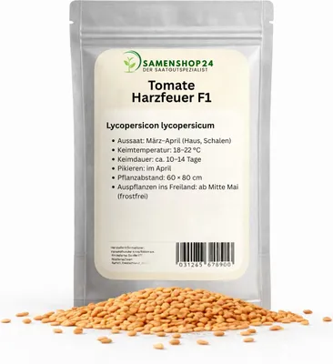 Produktbild von Tomate Harzfeuer F1 1000 Korn, leuchtend rote Früchte