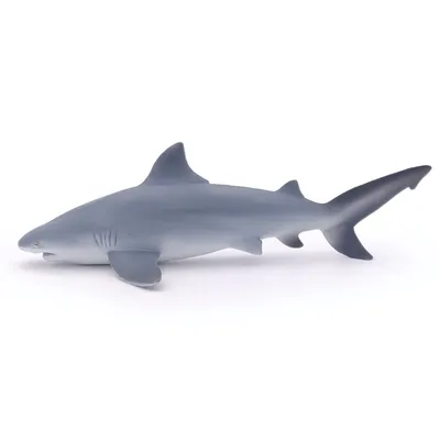 Produktbild von Papo Bullenhai, 3 Jahr(e), Marine life, Grau, Weiß, PVC
