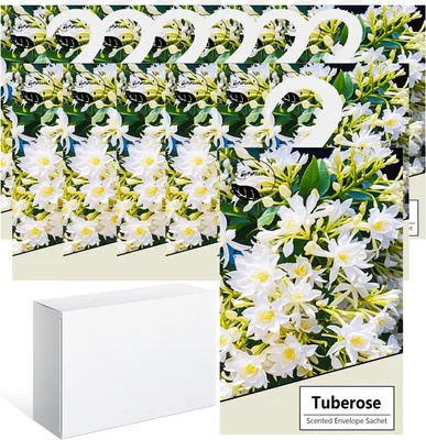 Produktbild von Duftbeutel für den Schrank 14 Stück, Lavendel und andere Düfte, Gerüche neutralisieren, für Kleidung