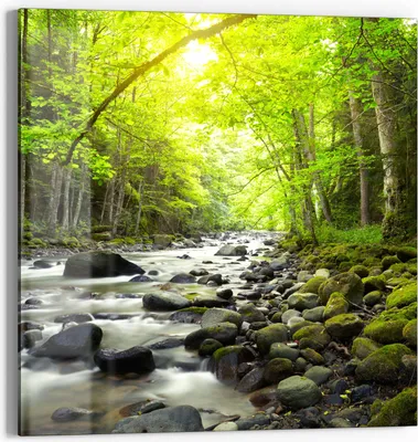 Produktbild von DEQORI Glasbild Echtglas 30x30 cm 'Steiniges Flussbett' Wandbild Bild modern Deko