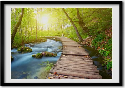 Produktbild von Bild - Bilderrahmen - 100 cm x 70 cm - MDF - Rahmen - Foto - Wandkunst Der Weg in den Wald
