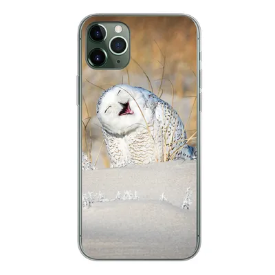 Produktbild von MuchoWow® Handyhülle Schutzhülle Hülle für iPhone 11 Pro Max Eule - Schnee - Düne Silikon Softcase Handy Hülle - Schutz