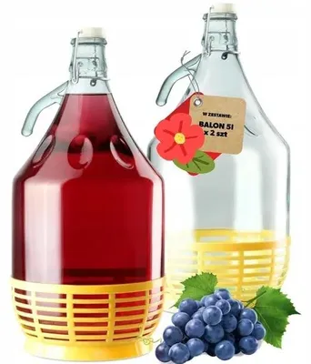 Productafbeelding van Solidchoice - Set van 2 Glazen Fermentatieballonnen met Beugelsluiting