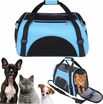 Image de Sac de transport pour animaux de compagnie - Sac à dos pour voyages - Transport sûr - Imperméable et robuste - 50 x 23 x 34 cm - Bleu