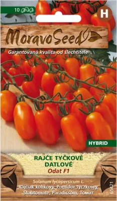 Zdjęcie produktu dla Pomidory daktylowe ODAT F1 - hybryda 65421