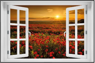 Produktbild von Wallario Wandbild mit Fenster-Illusion: Mohnblumenwiese bei Sonnenuntergang am Abend, Größe: 61 x 91,5 cm, Poster mit schwarzem Aluminiumrahmen