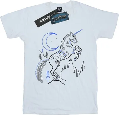 Produktbild von Harry Potter - T-Shirt für Herren BI29817 (M) (Weiß)