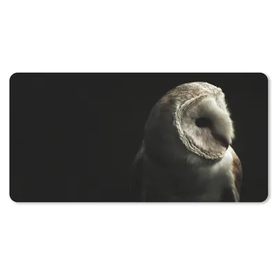 Produktbild von MuchoWow® Schreibtischunterlage Eule - Vogel - Porträt 80x40 cm - XXL Mauspad