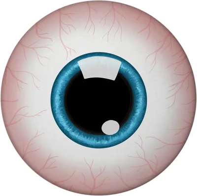 Produktbild von Augapfel Magnet rund