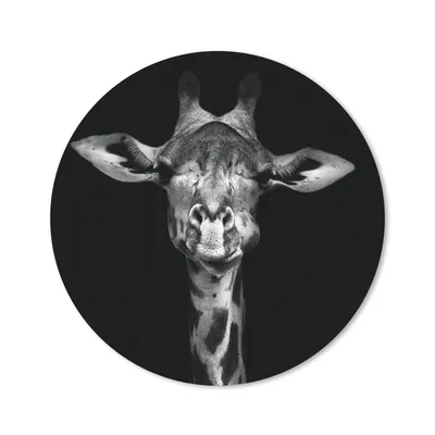Produktbild von MuchoWow® Mauspad Mousepad Giraffe - Porträt - Tiere - Schwarz - Weiß 50x50 cm - Mousepads - Maus Mat - Pad - Mausunterlage - Vinyl