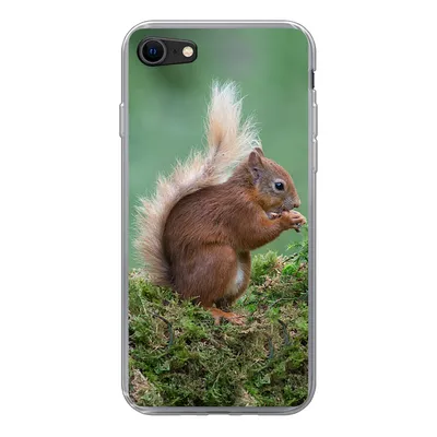 Produktbild von MuchoWow® Handyhülle Schutzhülle Hülle für iPhone SE 2022 Waldtier - Eichhörnchen - Moos Silikon Softcase Handy Hülle - Schutzhülle