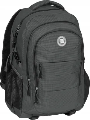 Produktbild von PASO Rucksack wasserdicht für Damen, Herren und Jungen 30 Liter Bequem Ergonomisch Schulrucksack Wanderrucksack - Farbe: Grau