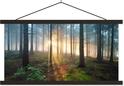 Produktbild von MuchoWow® Textilposter Wald - Baum - Pflanze 150x75 cm mit schwarzem Rahmen - Posterleiste