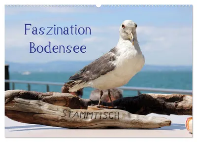 Produktbild von Faszination Bodensee (Wandkalender 2027 DIN A2 quer), CALVENDO Monatskalender