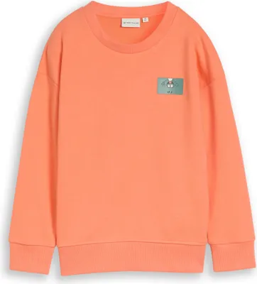 Produktbild von Tom Tailor 1049955_104/110, Kind, Männlich, Sweatshirt, Koralle, Langärmlig, 104/110