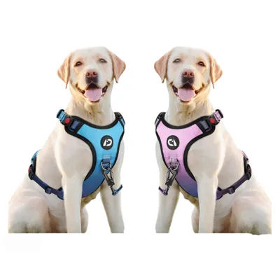 Produktbild von LED Hundegeschirr aufladbar reflektierend, verstellbar mit Griff, Brustgeschirr mit 3 Lichtmodi für kleine und mittelgroße Hunde, Farbe Blau Größe XL