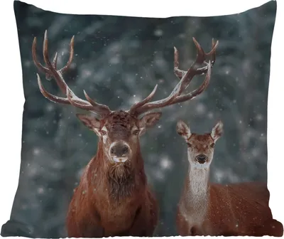Produktbild von MuchoWow® Outdoor Kissen - Hirsche - Tiere - Winter - Geweih - Schnee - Natur - 50x50 cm - Wetterfest - Lounge Kissen - Komfortabel - Kissen mit Bild