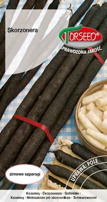 Produktbild von Scorzonera Samen 2g - Torseed