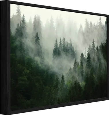Produktbild von Bilder mit Rahmen Wald Nebel Natur - 120x80 cm - Wandbilder Wohnzimmer Schlafzimmer - Leinwand Bilder mit Rahmen Grün - PPR13026O20