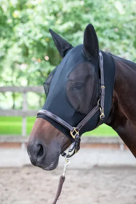 Zdjęcie produktu dla Maska na muchy Harry's Horse Skinfit M