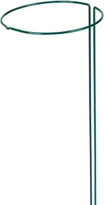 Image de SIENA GARDEN Support d'arbuste 100x30cm vert, ajustable