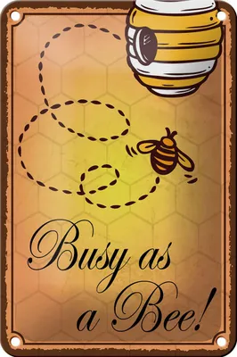 Produktbild von Blechschild Spruch 12x18cm Busy as a bee Biene Honig Imkerei