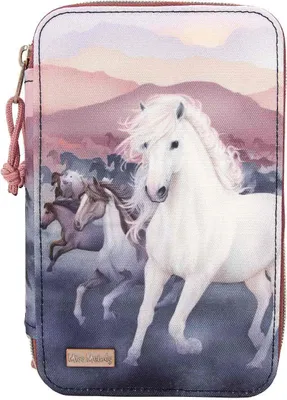 Obrázek produktu pro Depesche 3-komorový penál Miss Melody Night Horses