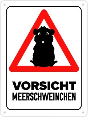 Produktbild von Vorsicht Meerschweinchen Metallschild XL in 21x28 cm mit Meerschweinchen