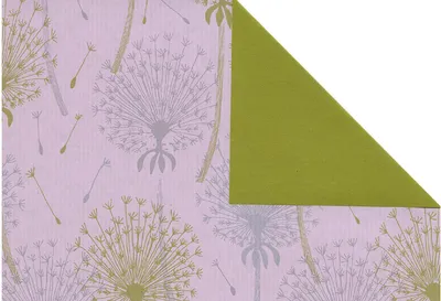 Immagine prodotto di R-Carta rosa Varenna50cmx200m