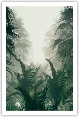 Produktbild von Poster - Poster ohne Rahmen - Dschungel Blätter Palmen - 61x91,5 cm - Wand Bild - Wanddeko - Wandbilder - Kunstposter - Wandposter - Bilder - Kunstdruck - Wanddekoration - Wandbild - P2XPA61x91-4504