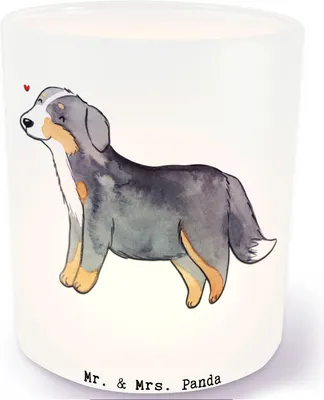 Produktbild von Mr. & Mrs. Panda Windlicht aus Glas Berner Sennenhund Moment - Transparent - Geschenk, Kerzenhalter, Dürrbächler, Outdoor