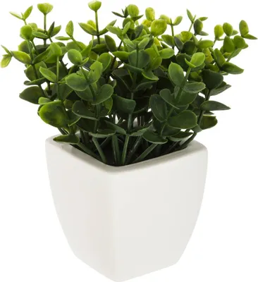 Produktbild von Künstliche pflanze keramiktopf h16cm - Atmosphera créateur d'intérieur