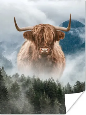 Produktbild von MuchoWow® Poster Schottischer Highlander - Nebel - Wald 90x120 cm - Wohnzimmer