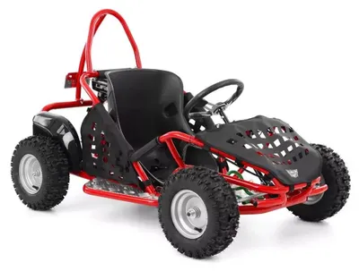 Produktbild von Benzin-Buggy mit 4-Takt-Motor für Kinder und Jugendliche