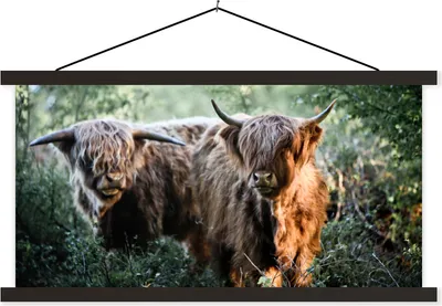 Produktbild von MuchoWow® Textilposter Schottische Hochlandrind - Wald - Tiere 150x75 cm mit schwarzem Rahmen - Posterleiste