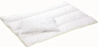 Produktbild von Alvi® Mikrofaser-Steppbett-Set 100 x 135 cm 40 x 60 cm