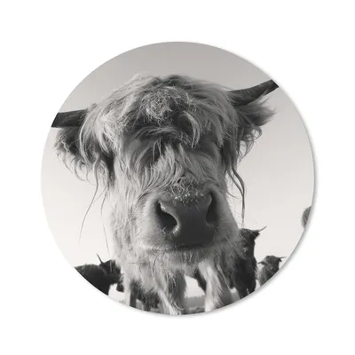 Produktbild von MuchoWow® Mauspad Mousepad Schottischer Highlander - Schwarz - Weiß - Tiere 40x40 cm - Mousepads - Maus Mat - Pad - Mausunterlage - Schreibtisch Accessoires