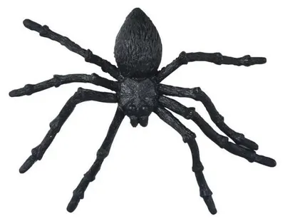 Image de Pająk plastikowy 11,5cm 2szt - MFP