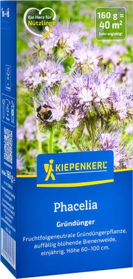Produktbild von Kiepenkerl Gründüngung Saatgut Phacelia für 40 m² 0,16 kg