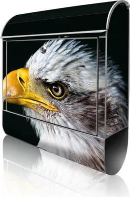 Produktbild von banjado Design Briefkasten Stahl silber mit Zeitungsfach pulverbeschichtet "Weißkopfseeadler" 38x46x12,5cm & 2 Schlüssel - Postkasten A4 Einwurf inkl. Montagematerial [BK 12986]