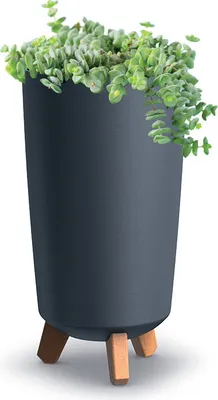 Obrázok produktu pre Kashpa Gracia Tubus Slim 24Cm Antracit