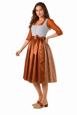 Produktbild von 2-teiliges Trachtenkleid (Kleid + Schürze) in Grau/Hellbraun/Orange, KI-generiertes Bild