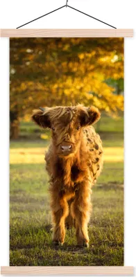Produktbild von MuchoWow® Textilposter Schottisches Hochlandrind - Kalb - Herbst 60x120 cm mit holzfarbenen Rahmen - Holz