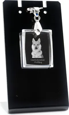 Produktbild von Tschechoslowakischer Wolfhund - Kristallanhänger für Hunde, Foto-Halskette, einzigartiger Schmuck von Art-Dog