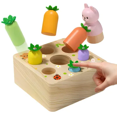 Immagine prodotto di Giocattoli in legno per lo sviluppo motorio dei bambini
