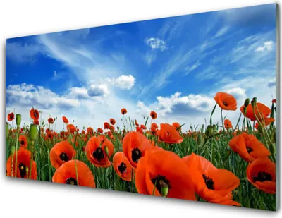 Produktbild von Acrylglasbilder 100x50 Wandbild Druck Wiese Mohnblumen Pflanzen