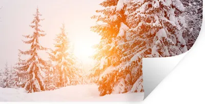 Produktbild von MuchoWow® Wandtattoo Wandsticker Wandaufkleber Sonne - Bäume - Schnee 80x40 cm Selbstklebend und Repositionierbar - Aufkleber