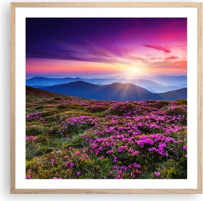 Produktbild von Gerahmtes Poster - Rahmen in heller Eiche - Wiese Berg Himmel Landschaft - 60x60 cm - Wand Bild - Wanddeko - Wandbilder - Wandposter - Bilderrahmen - Bilder - Kunstdruck - Wandbild - P2NAC60x60-2719