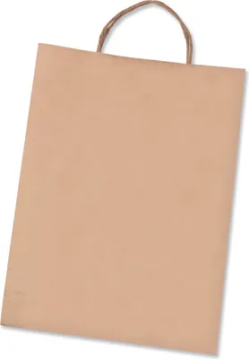 Image de Sacs en papier en papier kraft de 125 g/m²