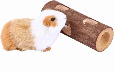 Imagen del producto de Túnel para animales pequeños hecho de madera natural, de 15 cm de diámetro, ideal para hámsteres, conejos, hurones y cobayas